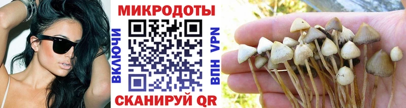 Псилоцибиновые грибы GOLDEN TEACHER  Еманжелинск 