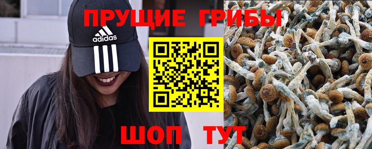 Еманжелинск  Галлюциногенные грибы MAGIC MUSHROOMS  Вход с VPN 