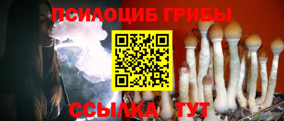 Псилоцибиновые грибы GOLDEN TEACHER Еманжелинск